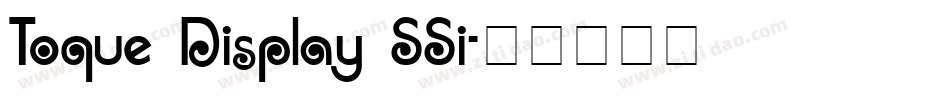 Toque Display SSi字体转换